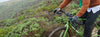 Cintre Gravel Ritchey Comp Corralitos