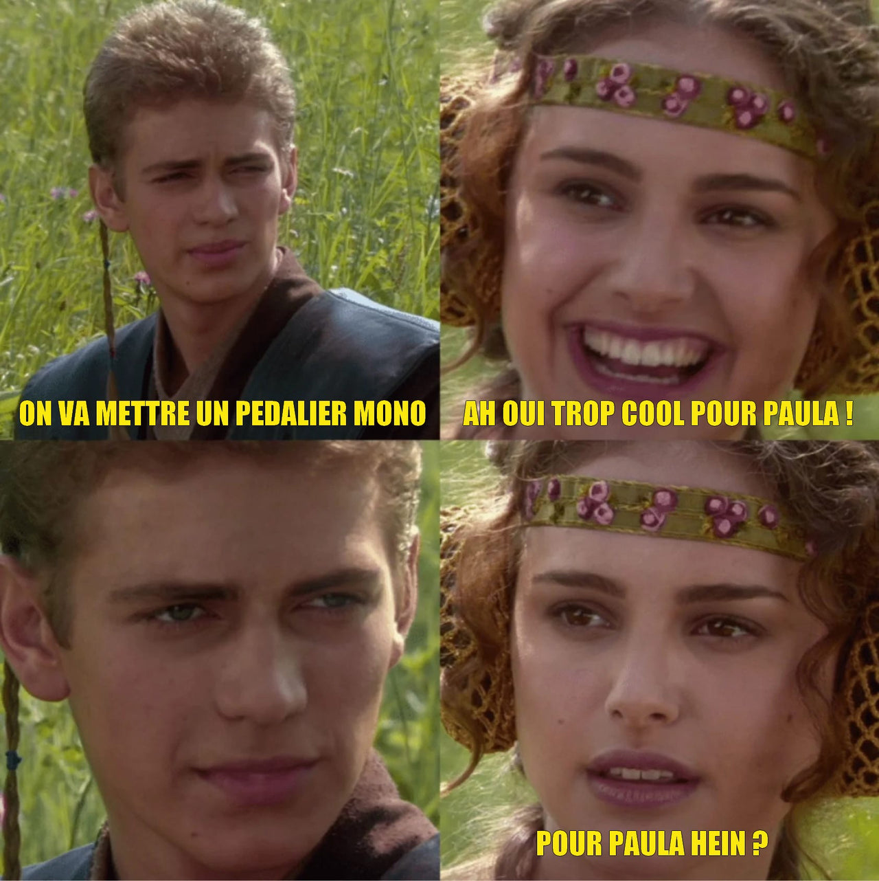 Anakin padme